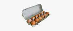 1 Box (Dozen) free range egg - apluslogistics